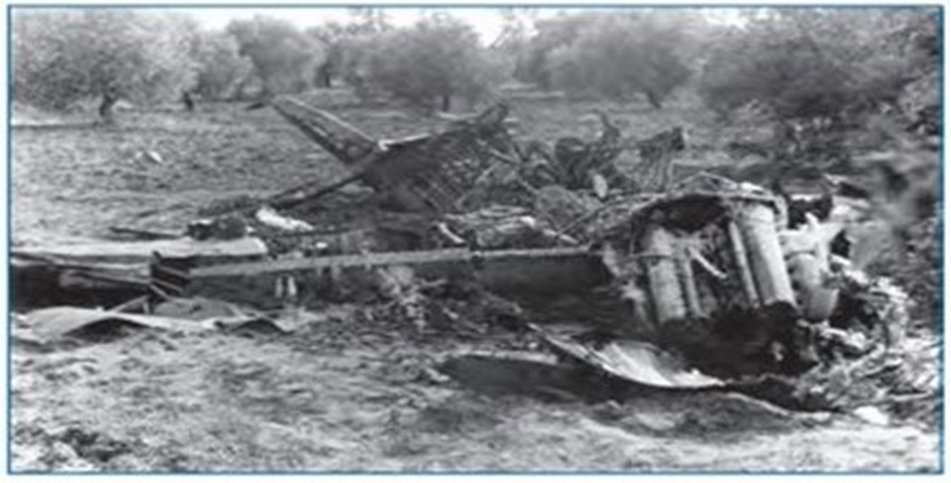 AVION ROLAND LAIME 2